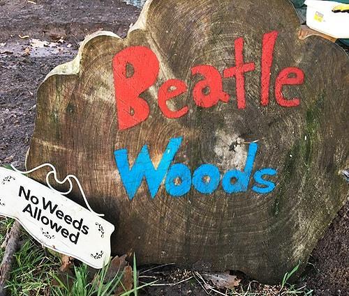 About Beatle Woods